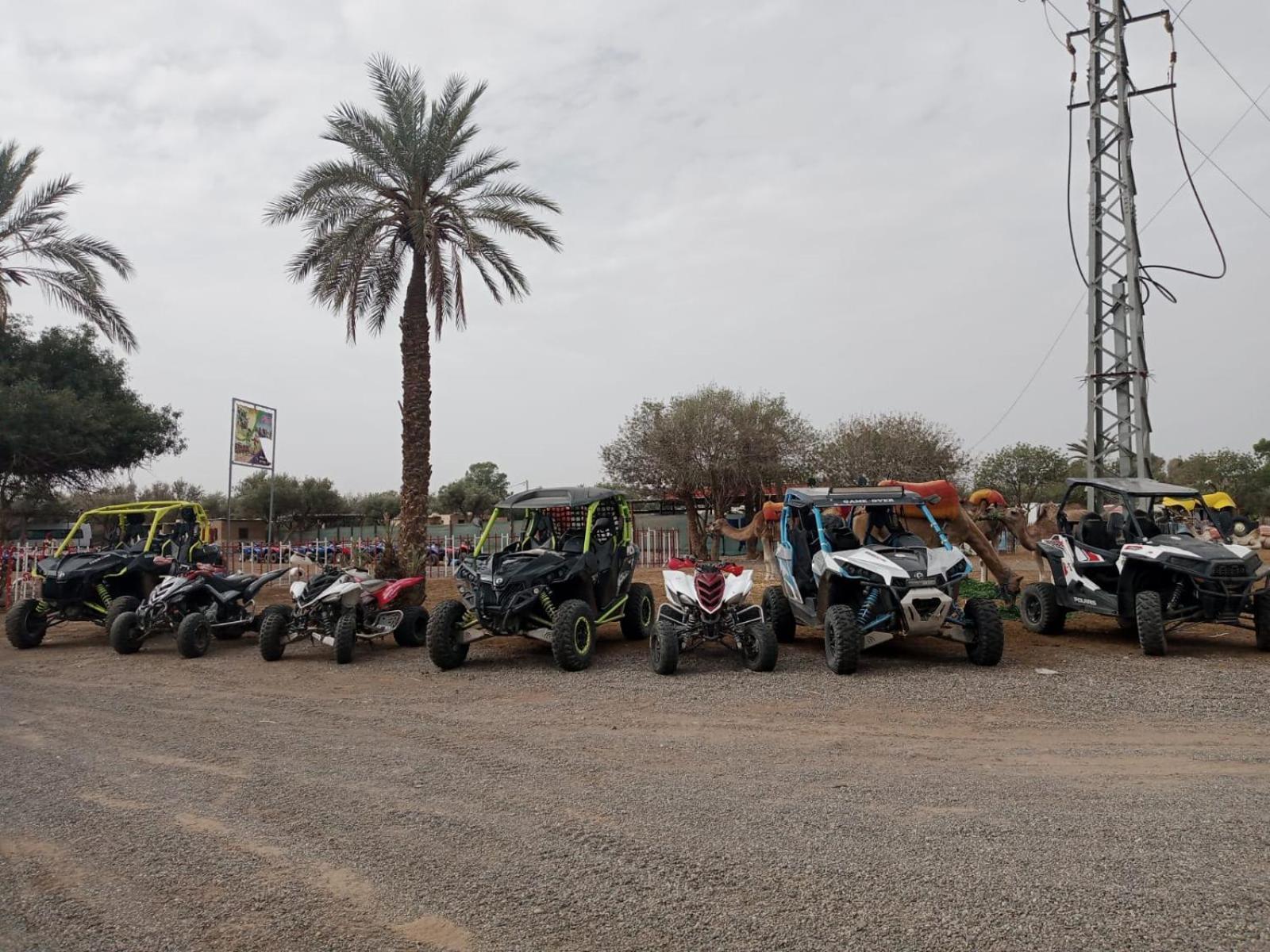 Quad Marrakech Hotel Marrakesh Buitenkant foto